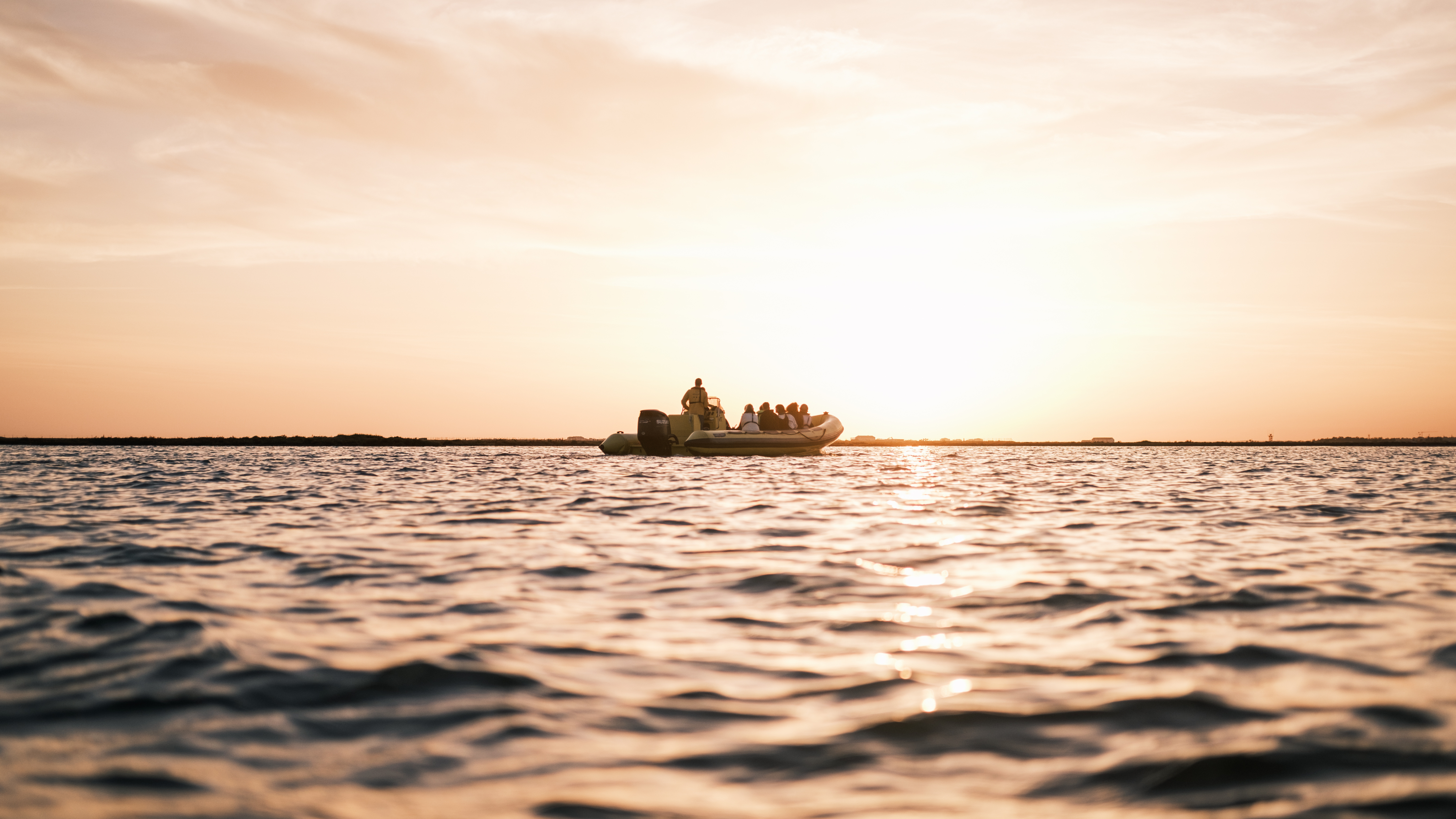 Boat to Table | Animaris